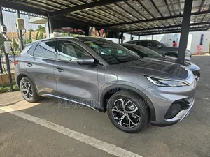 New BYD Yuan Plus 2025 Gray