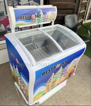2 Doors Chest Ice Display Freezer