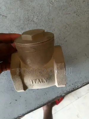 Non Return Valve Italy Available in All Sizes