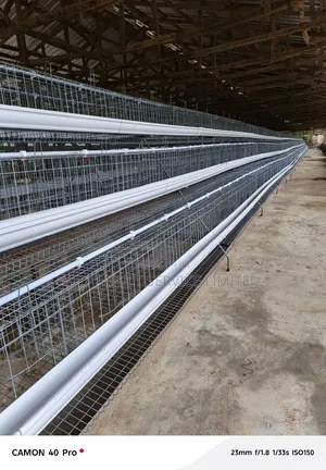 Original Layers Cage