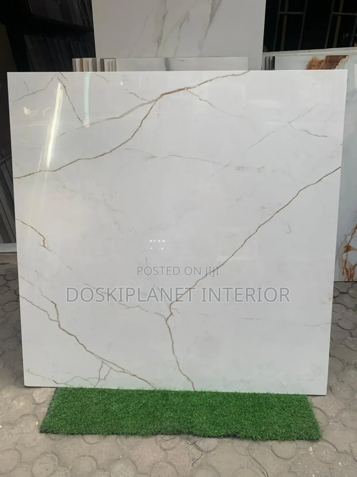 Gold and White Carrara 120x120