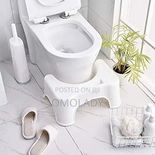 Potty Stool Support