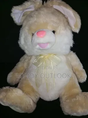Photo - Beautiful Teddy Bear