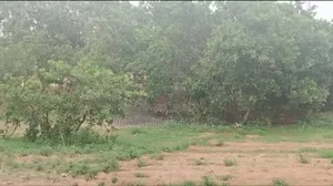 1.23 Hectares Land in Wawa for Sale