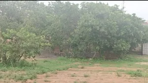 1090.12sqm Residential Land for Sale in Aviation Village