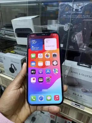 Apple iPhone 12 Pro Max 256 GB Blue