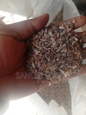 Photo - Rice Dog Food