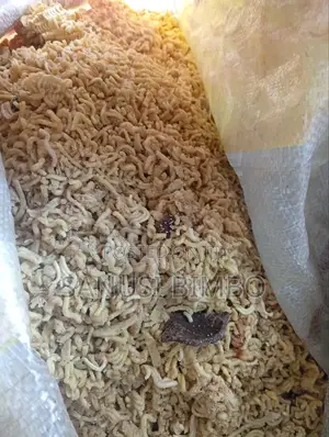 Photo - Noodles for Dogs