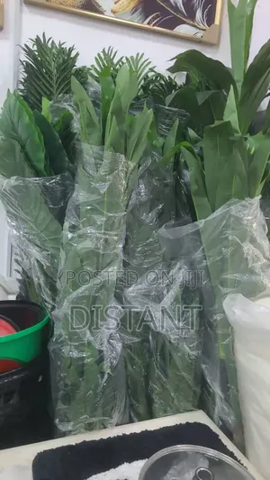 Flowers (Home Decor)
