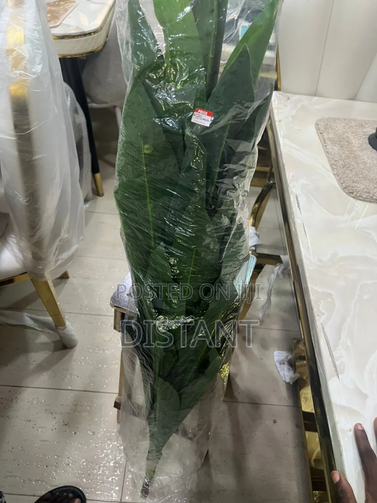 Flowers (Home Decor)
