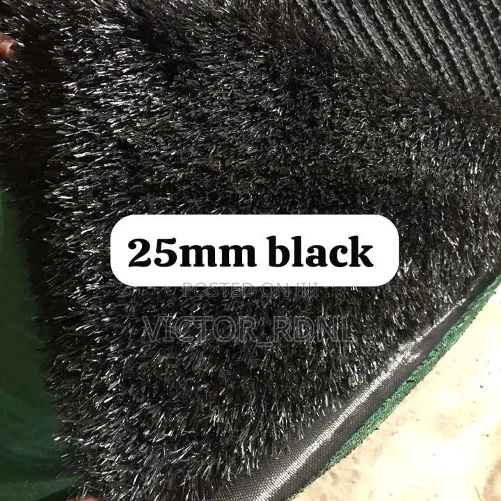 Quality Black Carpet Grass