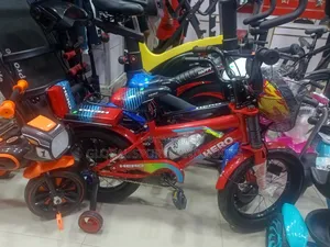 Verity Of Children Bicycle