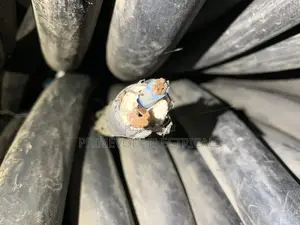 16mm 2core Copper Armoured Cable