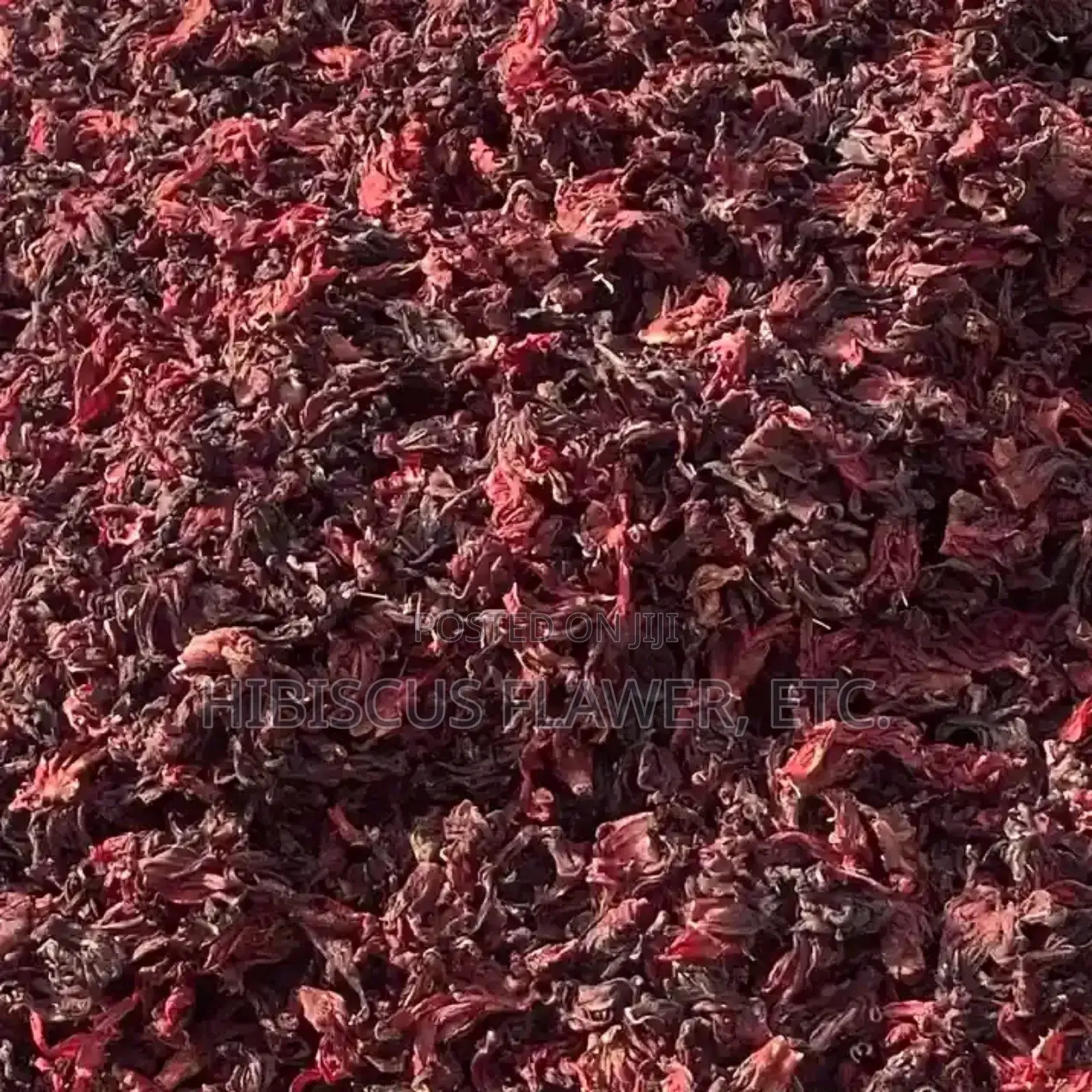 Hibiscus Flower Zobo