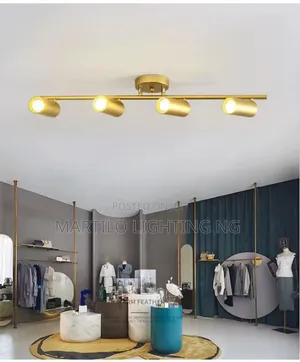 4-1 Track Light for Your Space