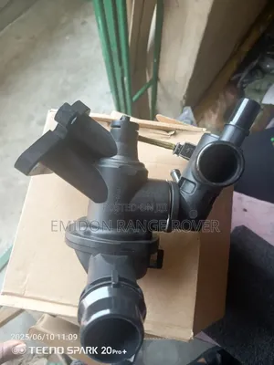 Original Thamostart Range Rover Velar 4 Plug