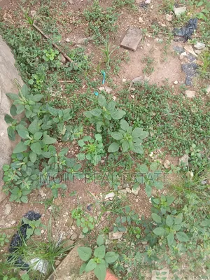 300sqm Plots 4 Sale /Lease Egbeda Alimosho