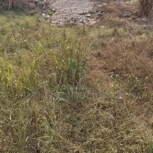 Land Available At Alausa