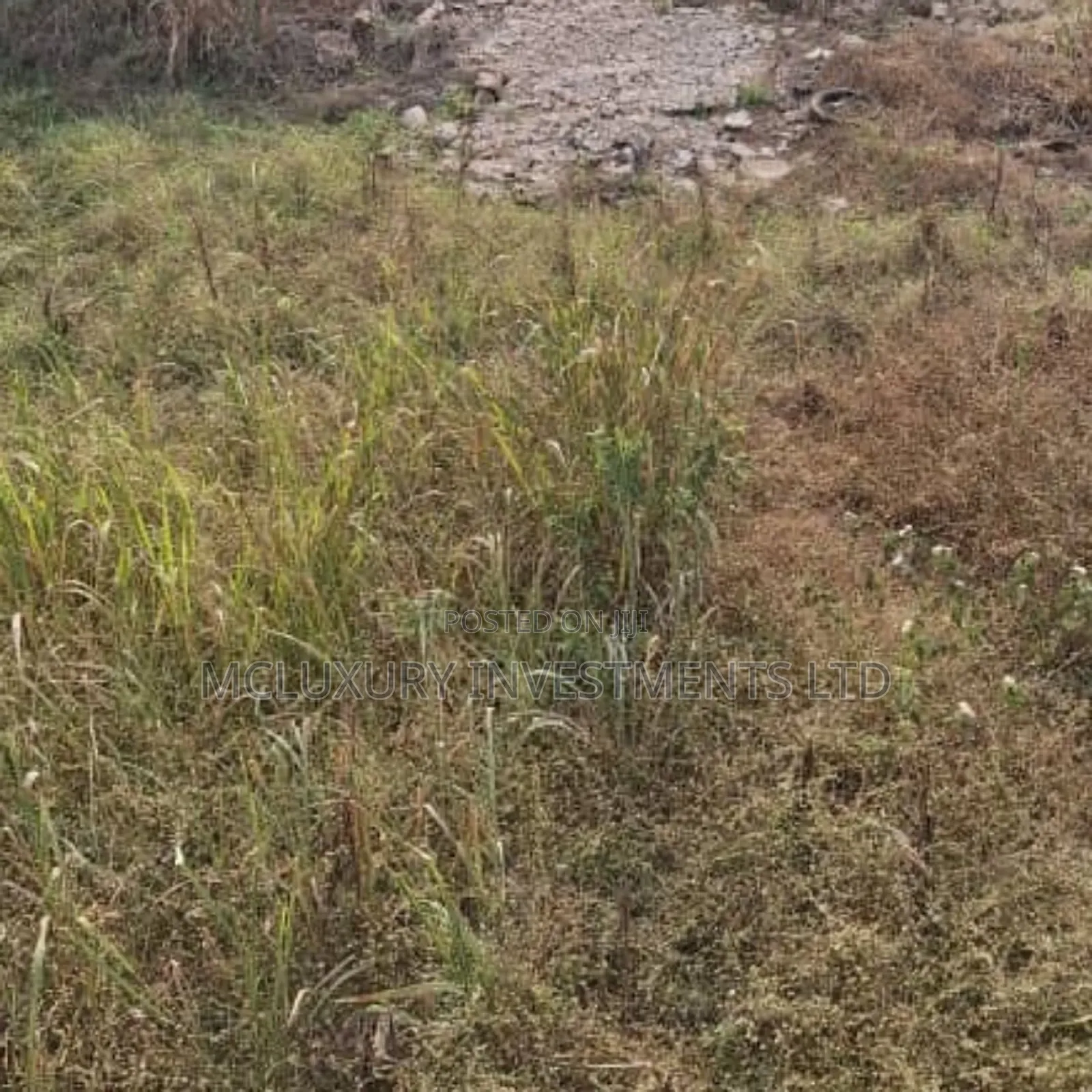Land Available At Alausa
