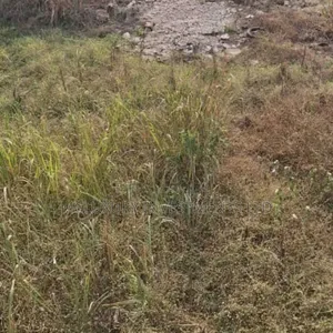 Land Available At Alausa