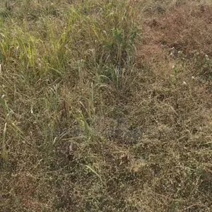 Land Selling At Ajah