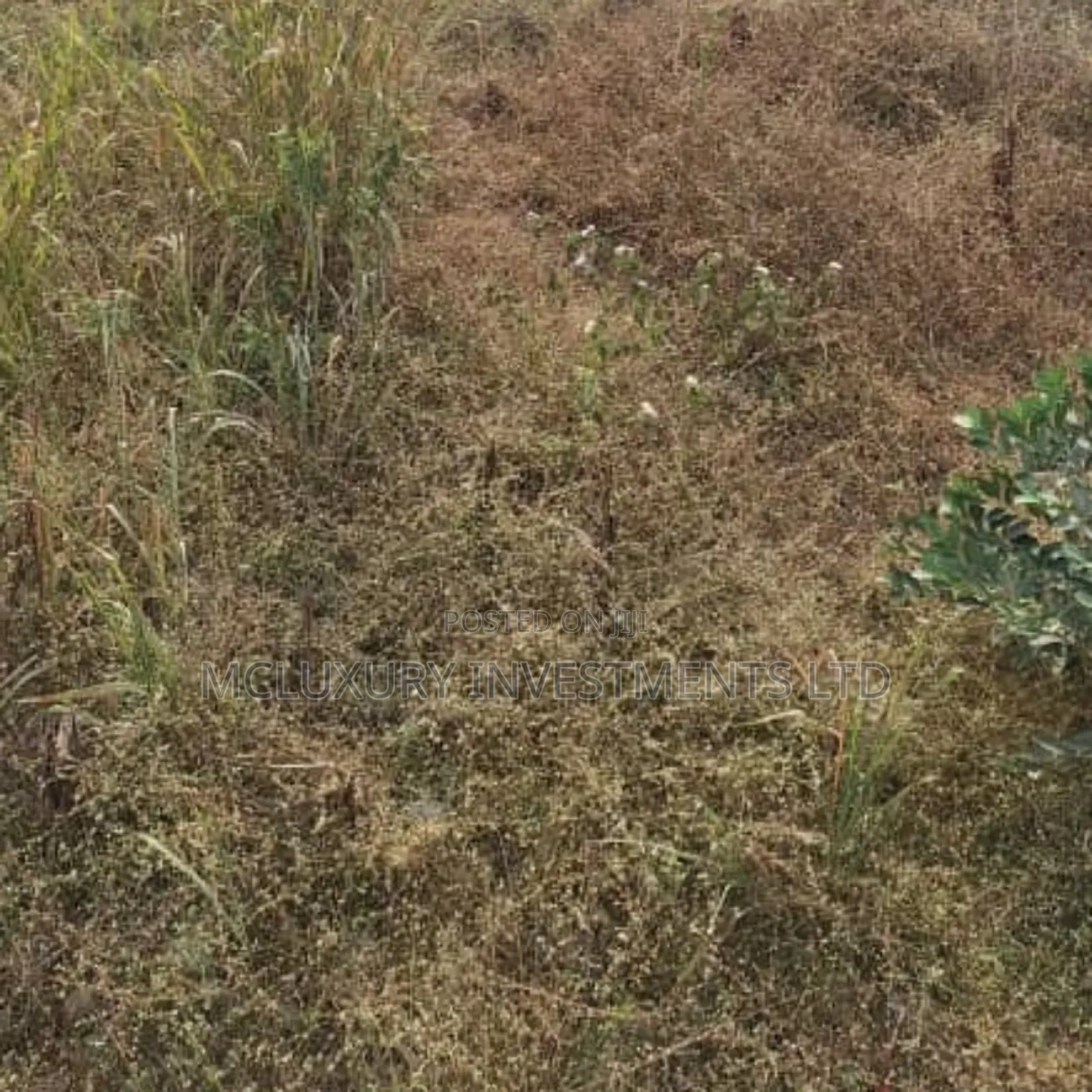 Land Selling At Ajah