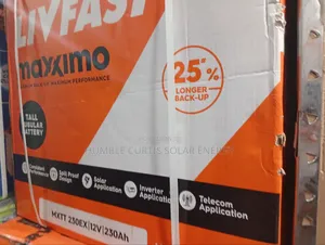 Livfast Tall Tubular Battery