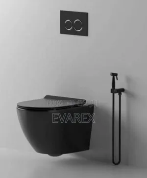 Luxury Concealed Black Wc