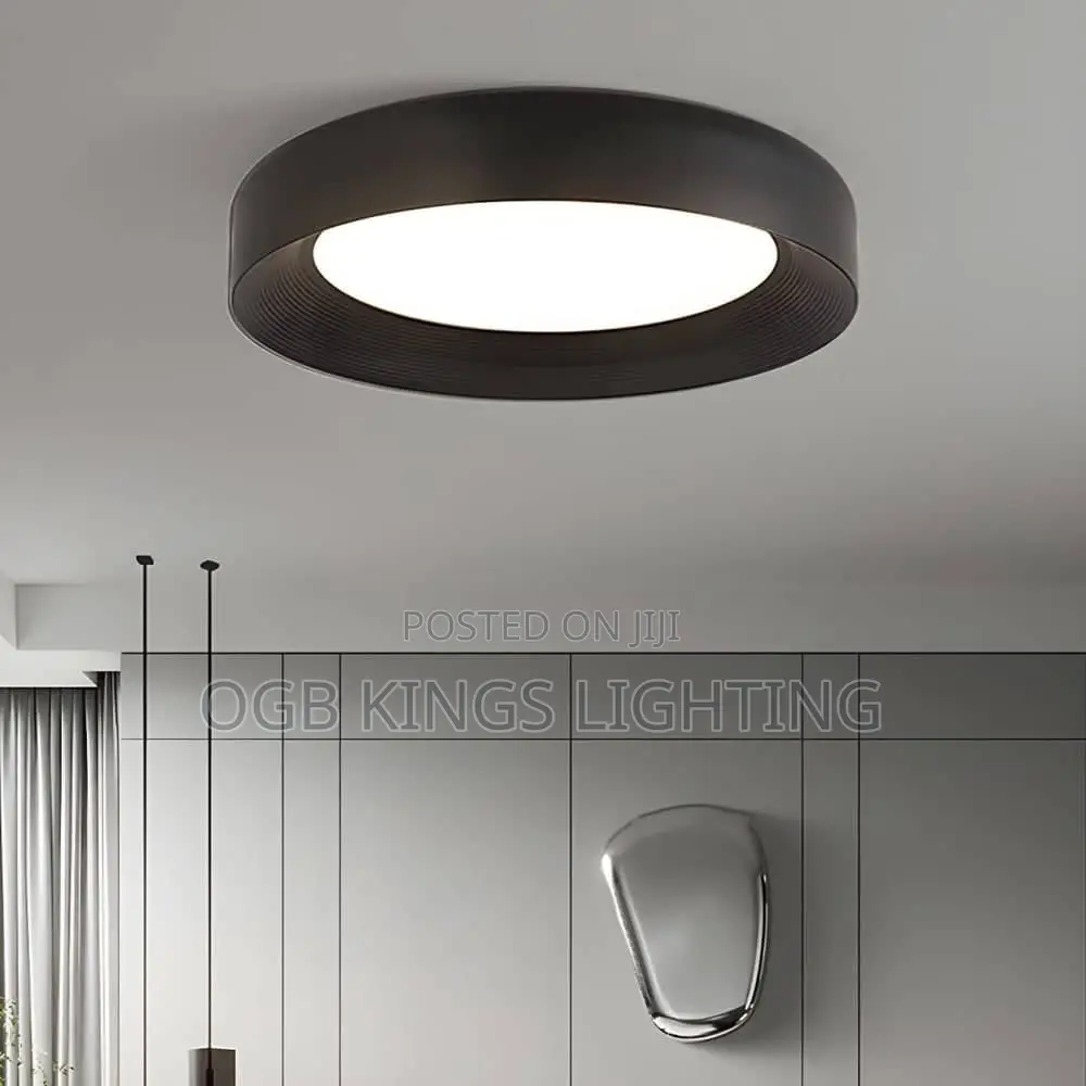 Minimalist Vortex Pattern Ceiling Light High-End Design