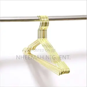 Gold/Silver Iron Clothes Hanger