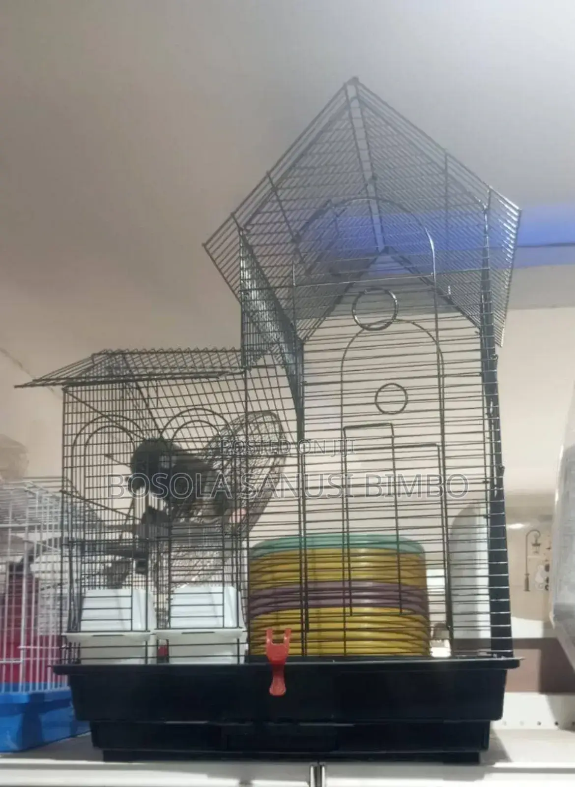 Parrot Cage