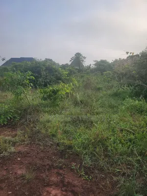 1 by 2 100ft by 150ft Land for Sale at Second Utagban