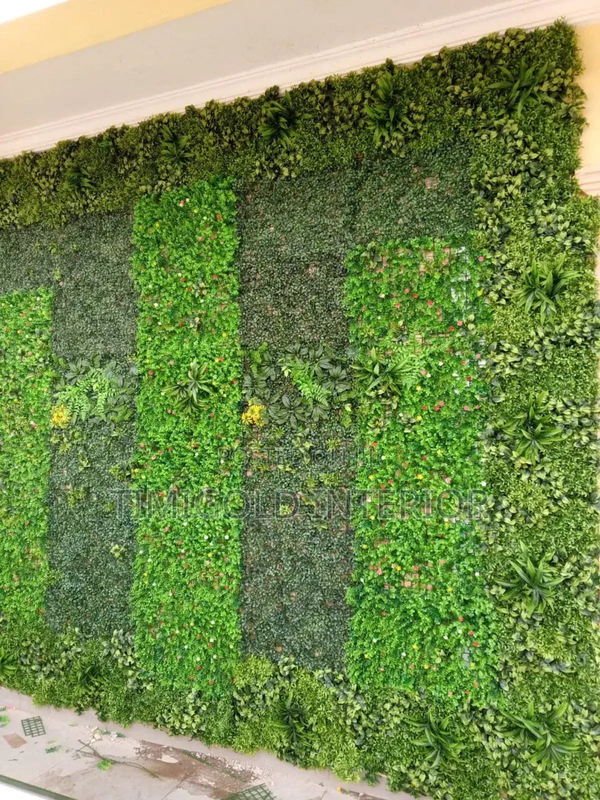 Carpet Grass, Interior Exterior