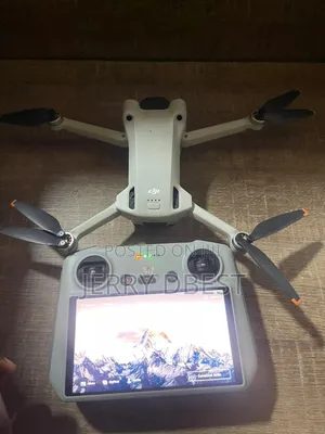 Drone Service With Pilot