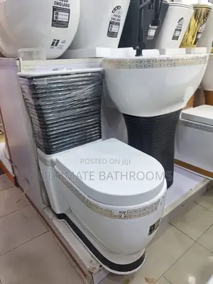 Executive White and Black Watercloset