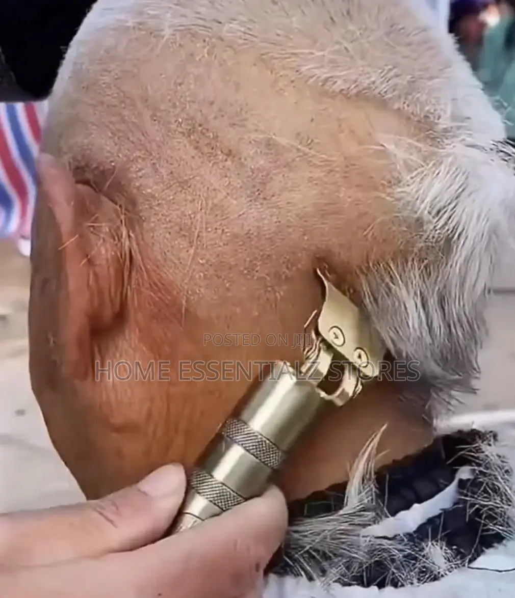 Sharp Balding Clipper - Vintage Trimmer