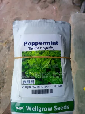Wellgrow Pepper Mint Seeds