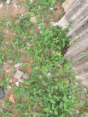 6,592sqm Plot Barre Land By Vgc Leki