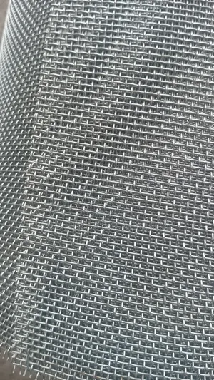 Stainless Mesh 14