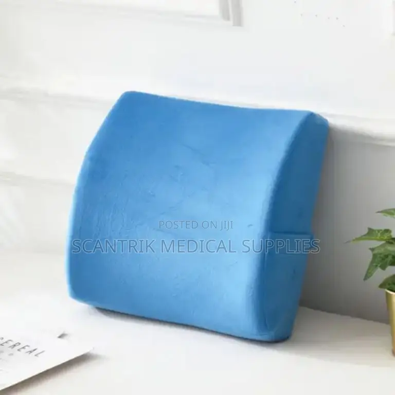 Back Pain Relief Chair Cushion