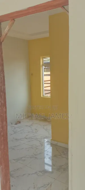 Wall Screeding and Painting