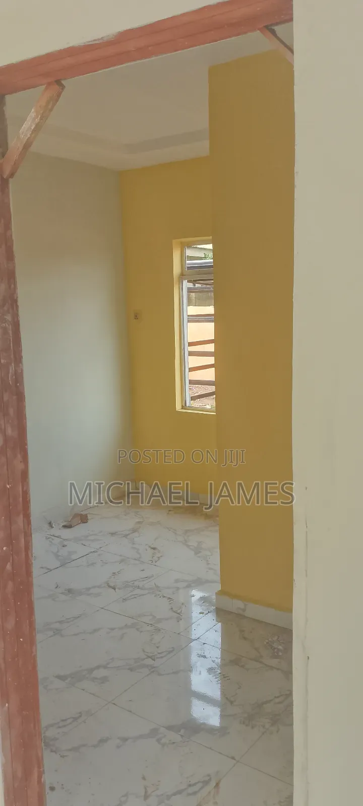 Wall Screeding and Painting