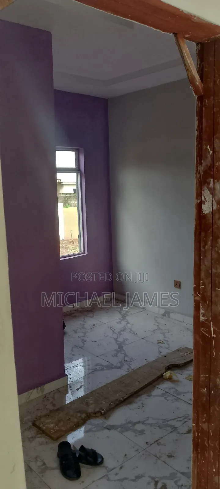 Wall Screeding and Painting