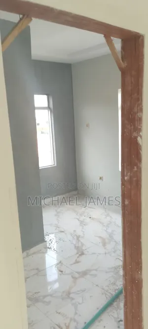 Wall Screeding and Painting