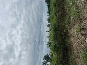 Photo - One Plot of Land at Emuren Ogun State