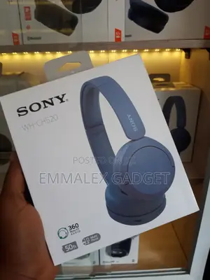Sony Wh-Ch520