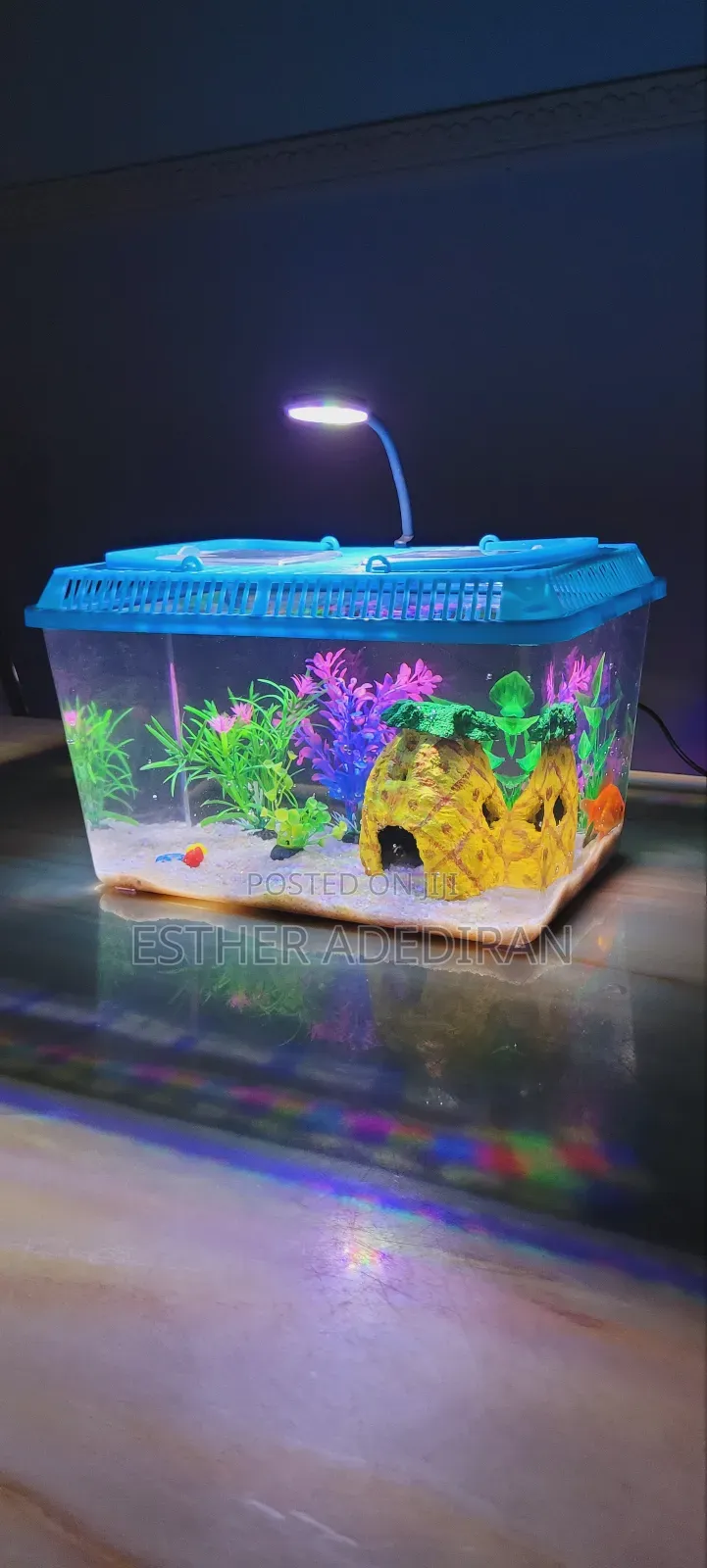 Midi Aquarium