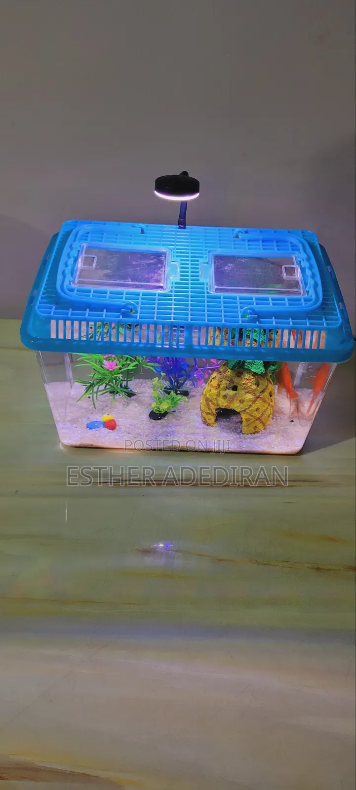 Midi Aquarium