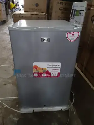 Original Lg Table Top Upright Freezer