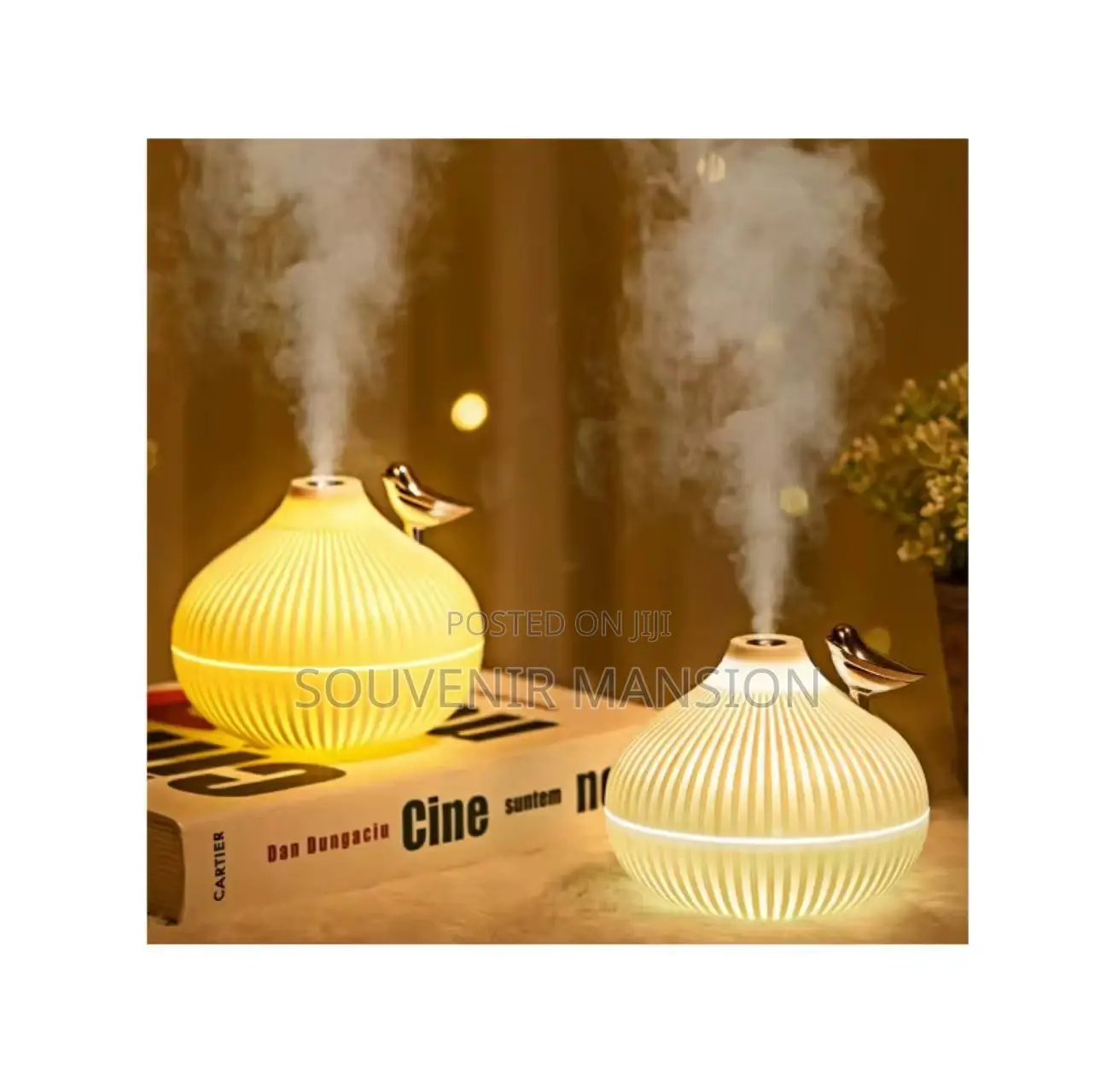 Onion Shape Humidifier